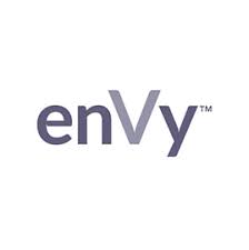 ENVY PILLOW
